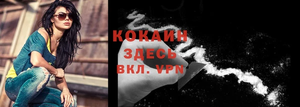 Альфа ПВП Инта