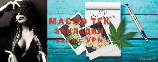 Альфа ПВП Инта