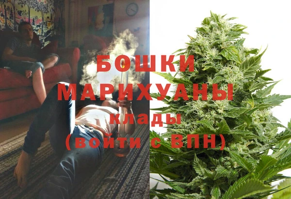Альфа ПВП Инта