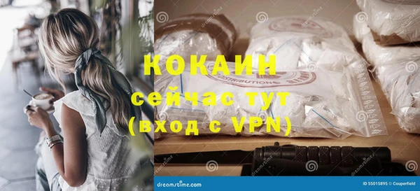 Альфа ПВП Инта