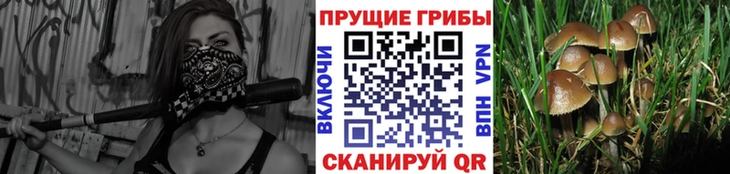 Псилоцибиновые грибы ЛСД  Купить закладки  Киржач 